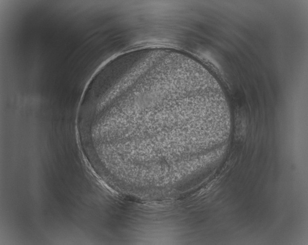 X0000073431182200608181139