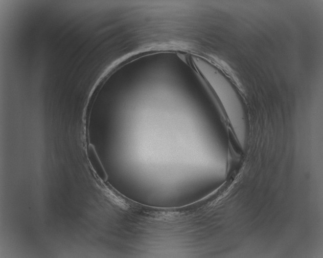 X0000073431184200608181139