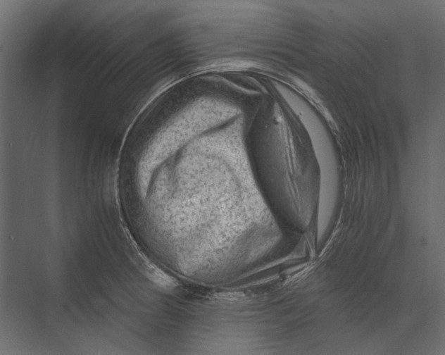 X0000073431186200608181139