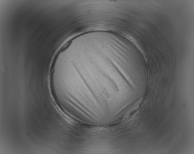 X0000073431187200608181139