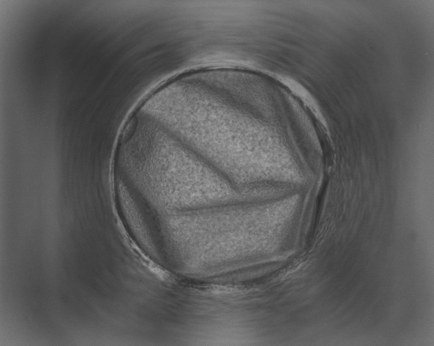 X0000073431191200608181139