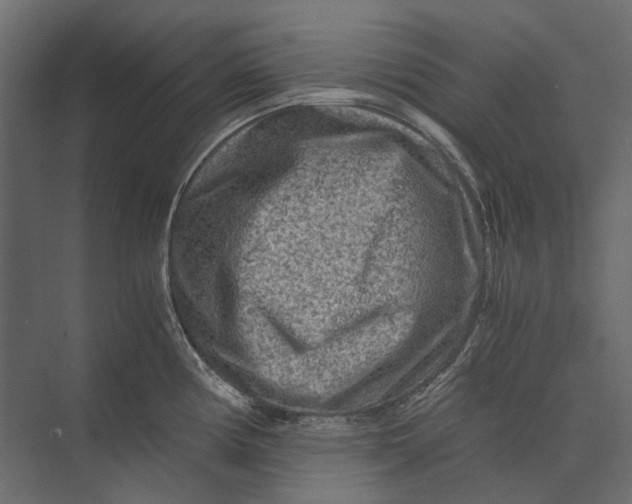 X0000073431194200608181139
