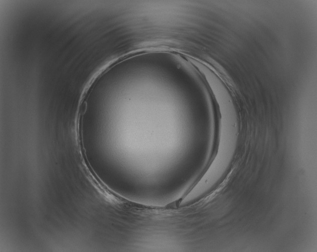 X0000073431196200608181139
