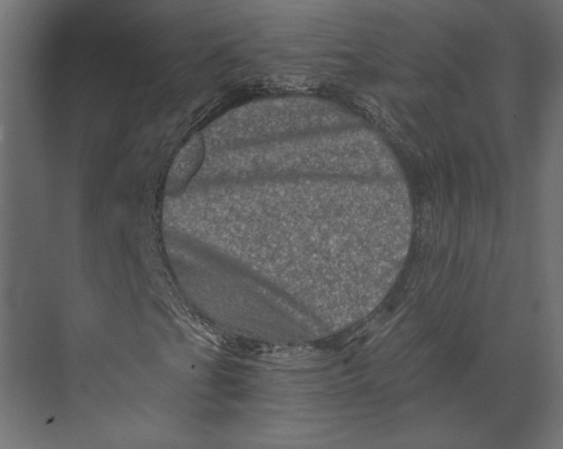 X0000073431201200608181138