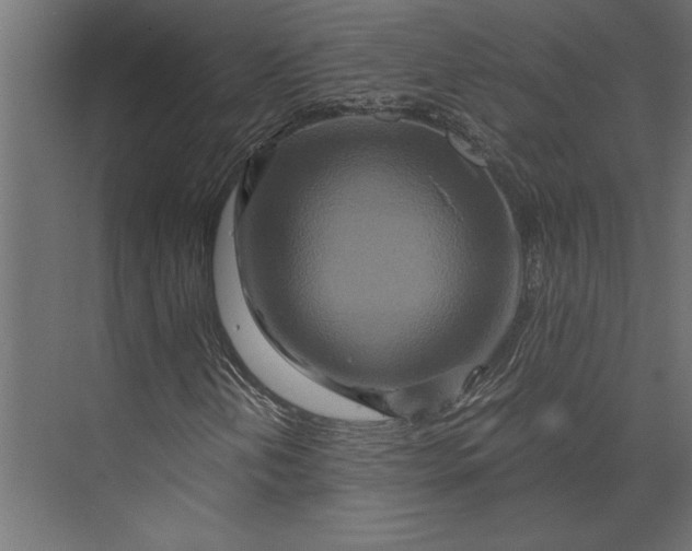 X0000073431202200608181138