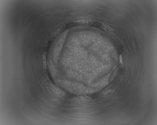 X0000073431203200608181138