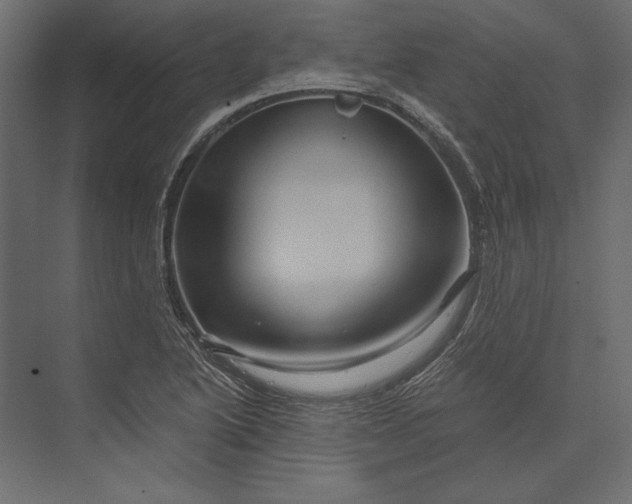 X0000073431222200608181138
