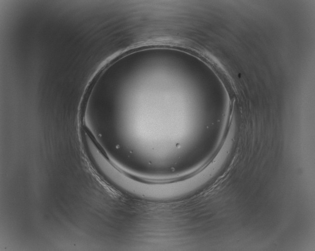 X0000073431230200608181138
