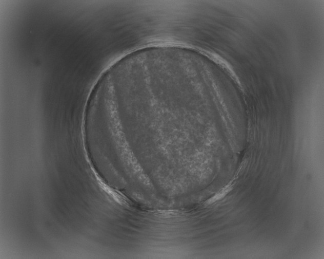 X0000073431231200608181138
