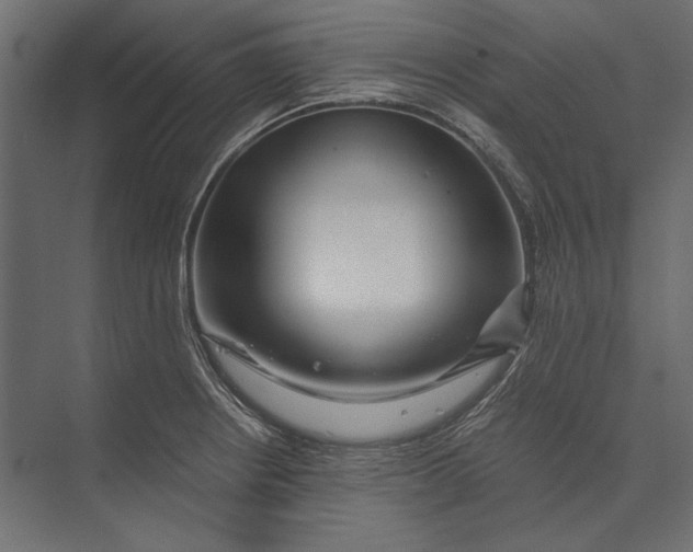 X0000073431234200608181138