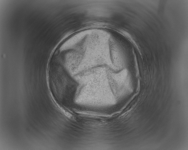 X0000073431235200608181138