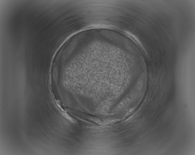 X0000073431236200608181138