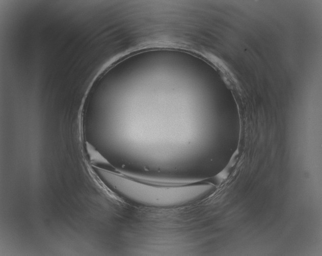 X0000073431238200608181138