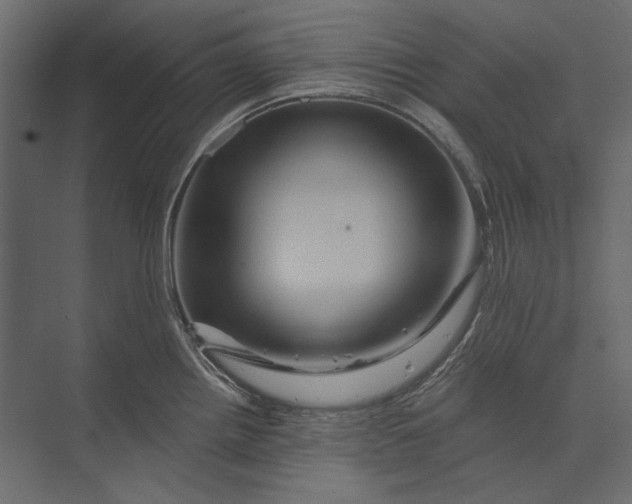 X0000073431242200608181139