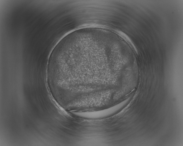 X0000073431244200608181139