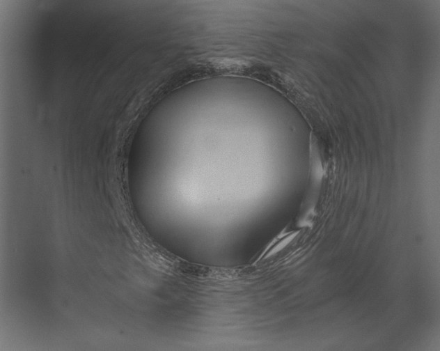 X0000073431249200608181138