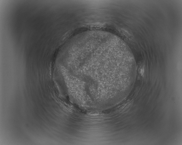 X0000073431252200608181138