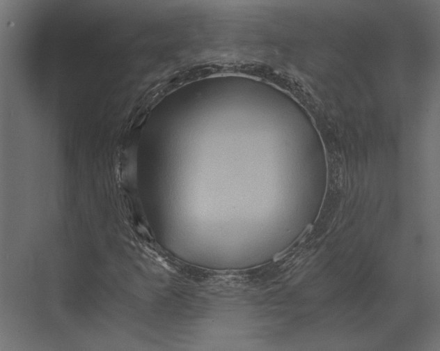 X0000073431253200608181138
