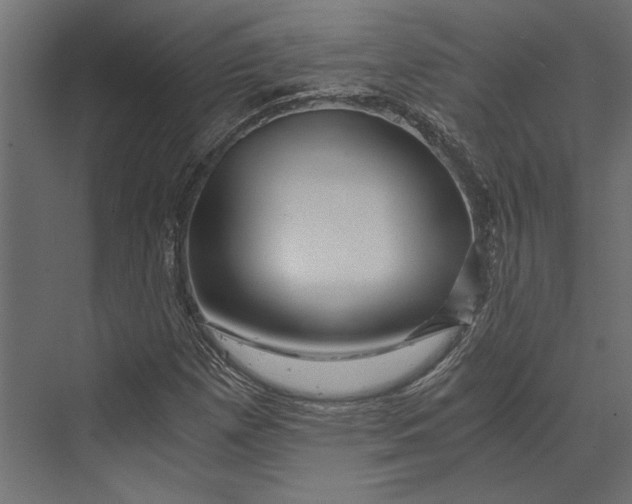 X0000073431257200608181138