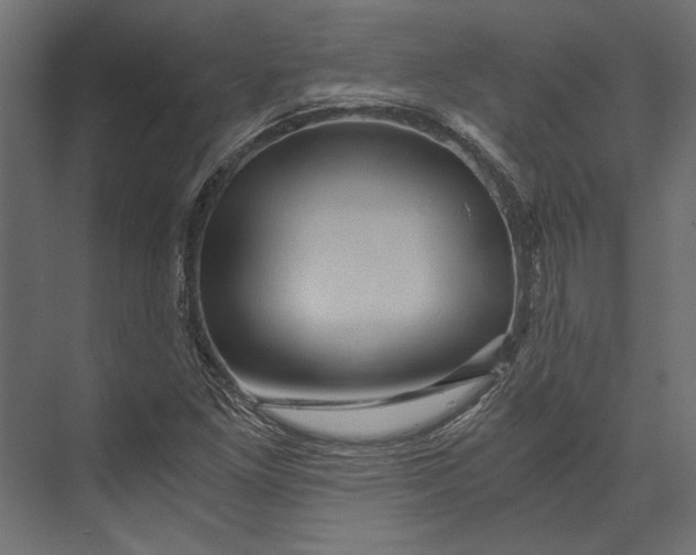 X0000073431261200608181138