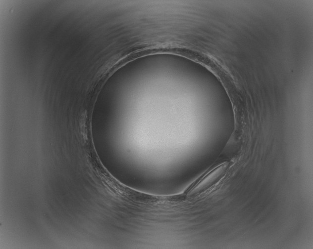 X0000073431265200608181138