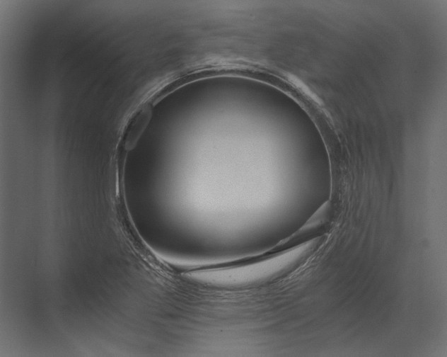 X0000073431269200608181137