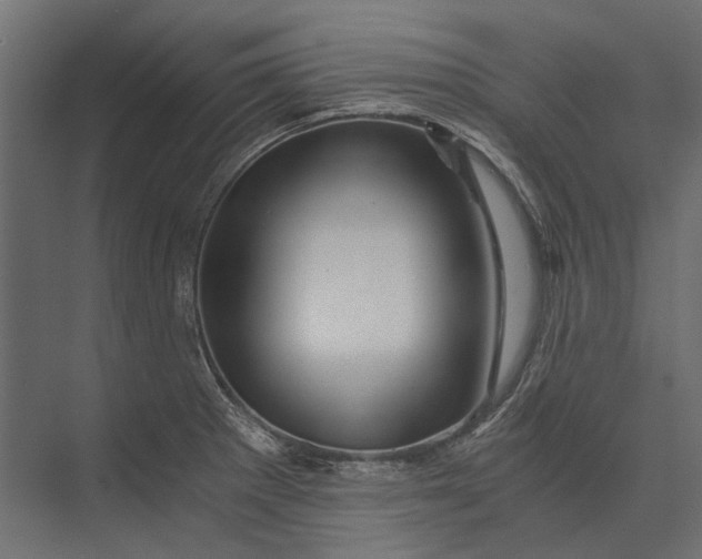 X0000073431281200608181137