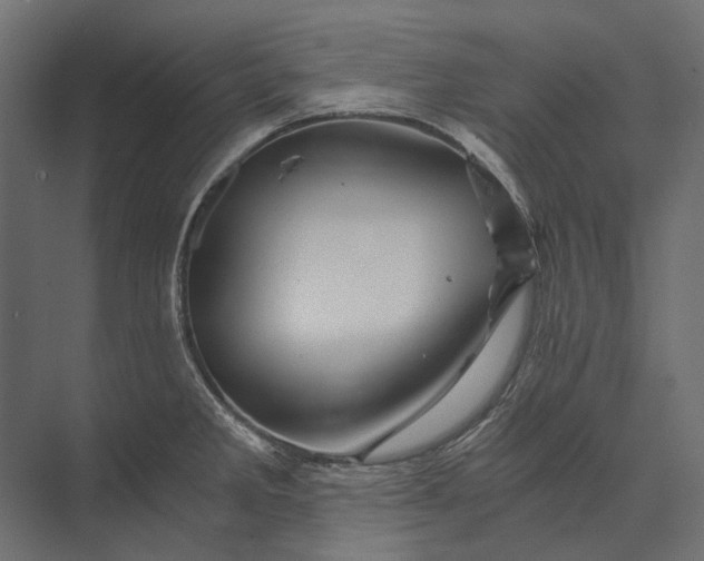 X0000073431285200608181137