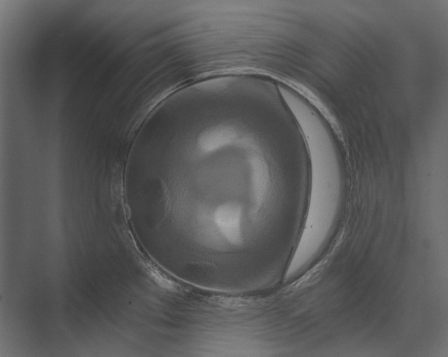 X0000073431289200608181137