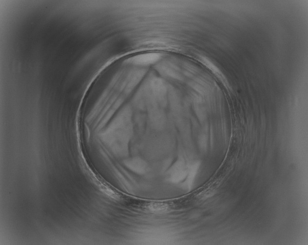 X0000073431291200608181137
