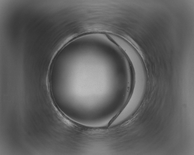 X0000073431293200608181137