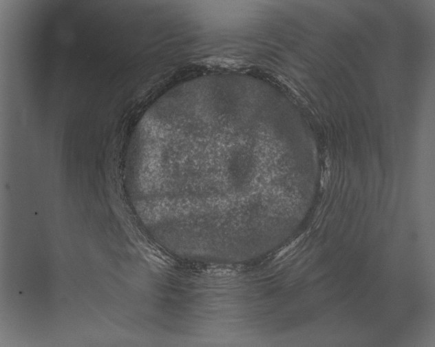 X0000073431297200608181136