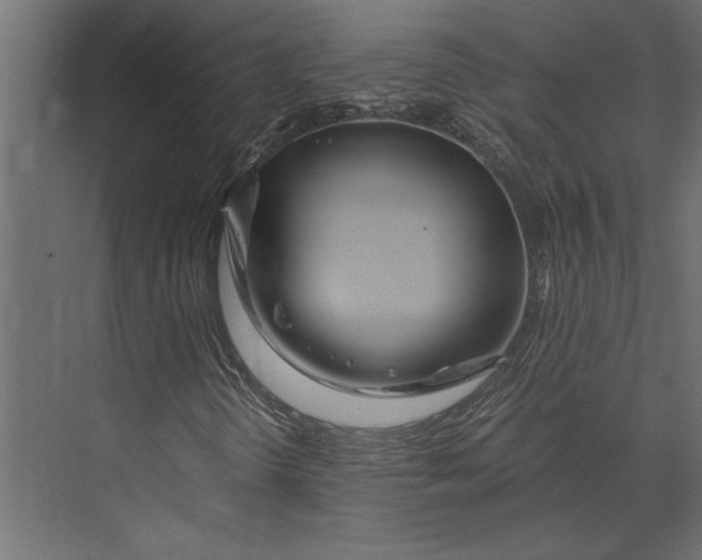 X0000073431298200608181136