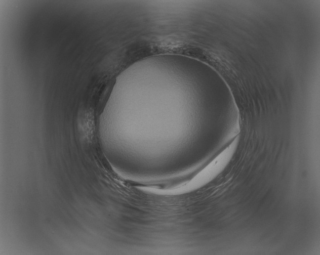 X0000073431299200608181136