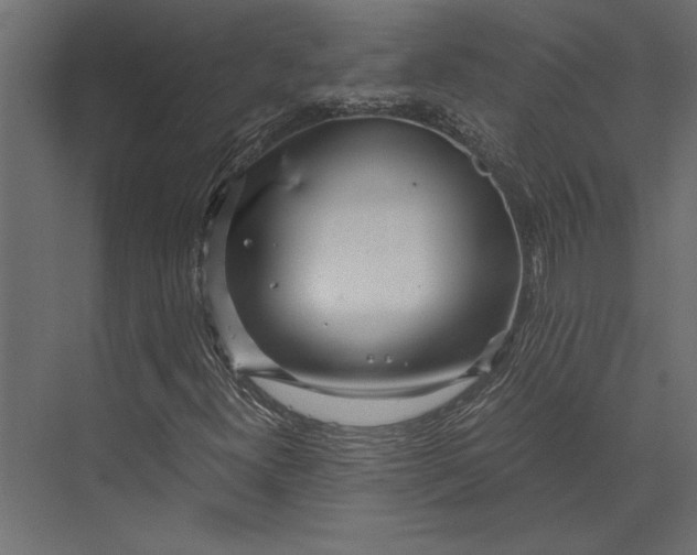 X0000073431300200608181136