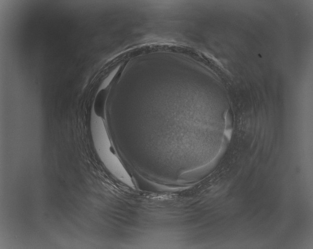 X0000073431303200608181136