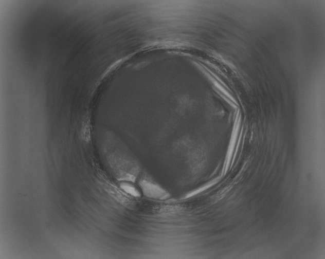 X0000073431306200608181136