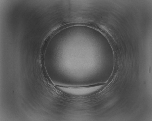 X0000073431307200608181136