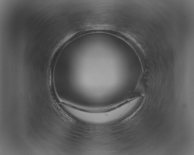X0000073431317200608181137