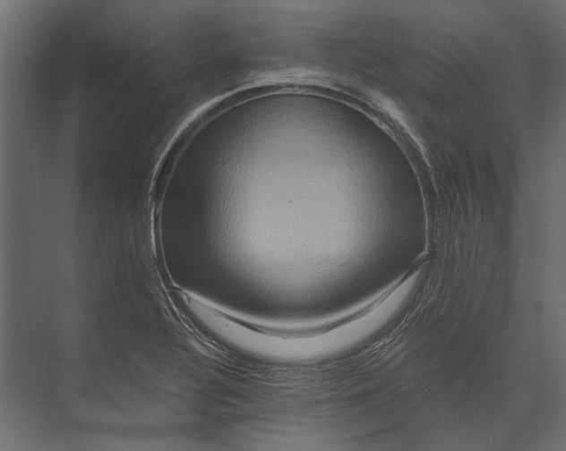 X0000073431320200608181137