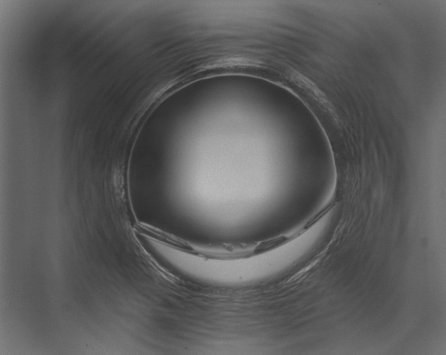 X0000073431321200608181137