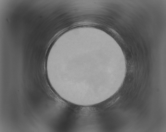 X0000073431322200608181137