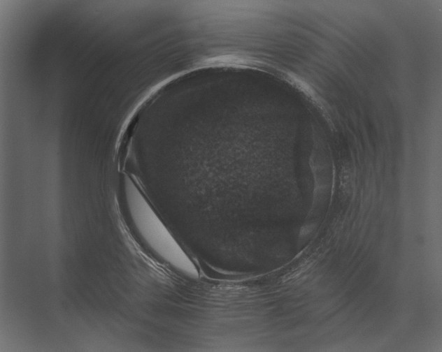X0000073431323200608181137