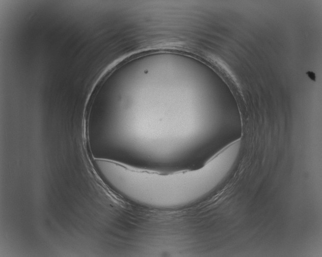 X0000073431324200608181137