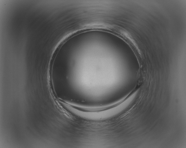 X0000073431328200608181137