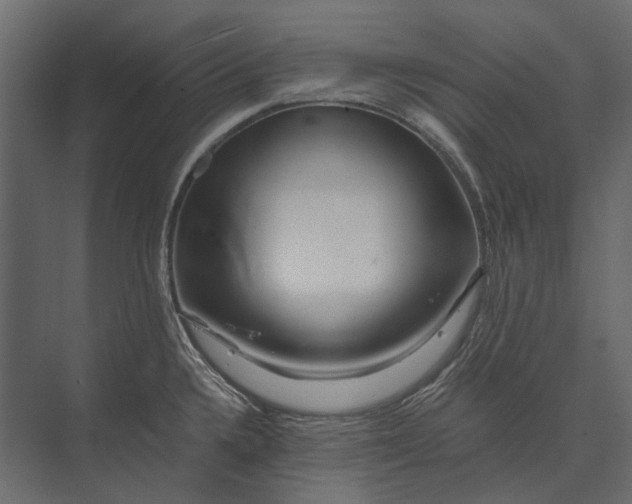 X0000073431336200608181137