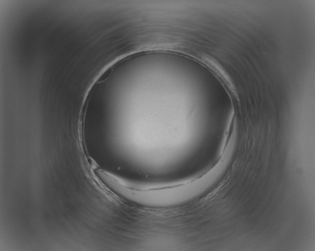 X0000073431340200608181137
