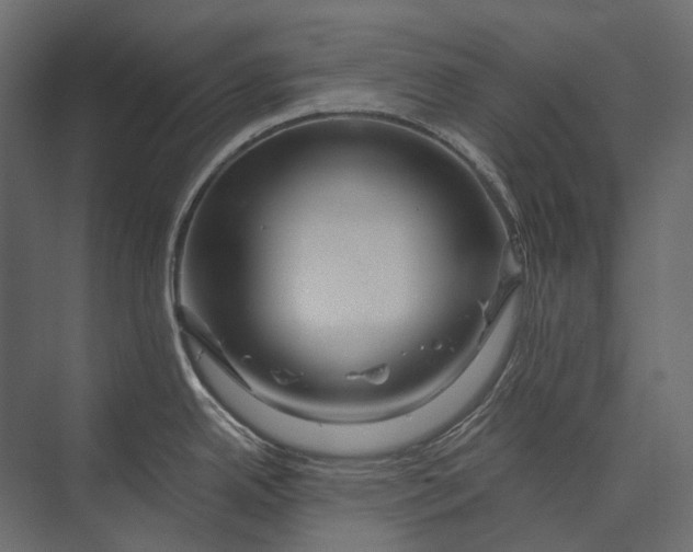 X0000073431342200608181137
