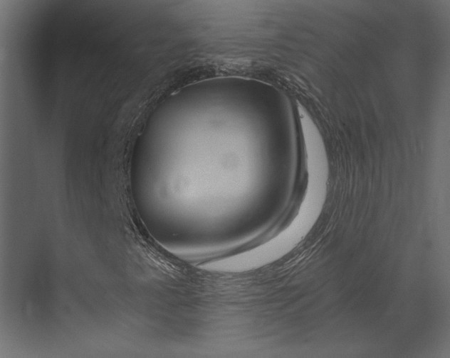 X0000073431345200608181136