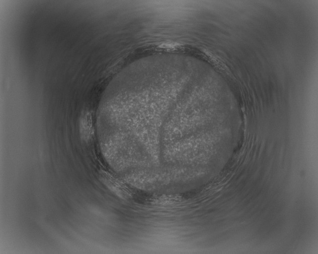 X0000073431347200608181136